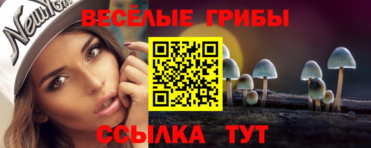 Галлюциногенные грибы мицелий Курчатов